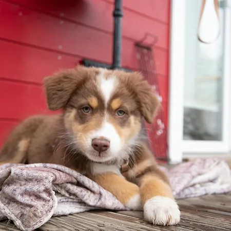 Seepark Seeliebe 1 *