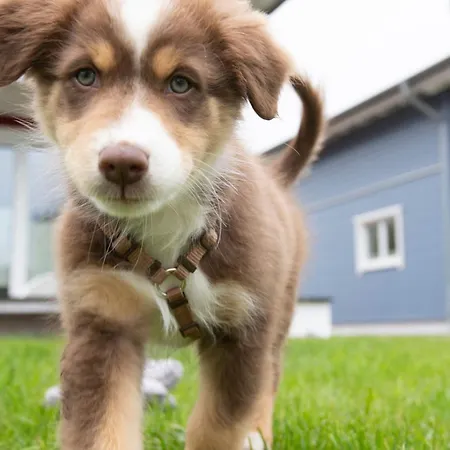 Σπίτι διακοπών Seepark Seeliebe 1